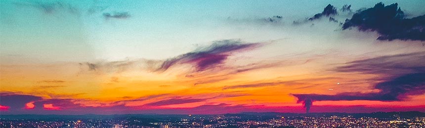 广水茶虫网_广水品茶